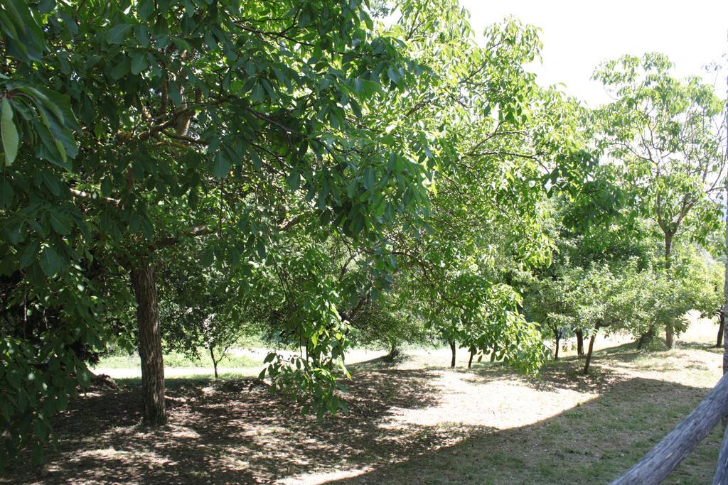 Il Vallone Di Melezzole Vila Exterior foto